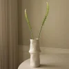Botané Studios Actaea Racemosa "Fairy Candle" Flower White