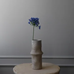 Botané Studios Agapanthus Flower Blue