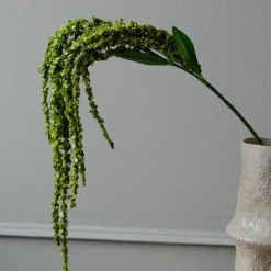 Botané Studios Amaranthus Flower Green