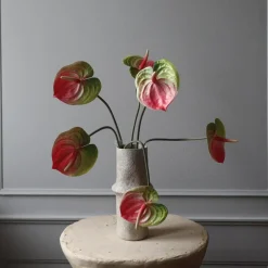 Botané Studios Anthurium Flower Pink
