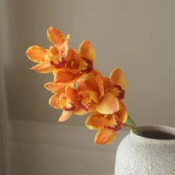 Botané Studios Cymbidium Orchid Flower Orange