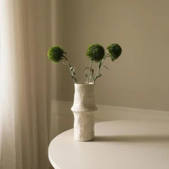 Botané Studios Dianthus Barbatus 