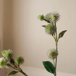 Botané Studios Echinops Ritro Thistle Ball Branch Green