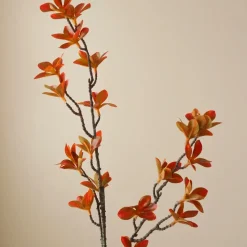 Botané Studios Enkianthus Perulatus Leave Orange