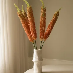 Botané Studios Eremurus Large Foxtail Lily Orange