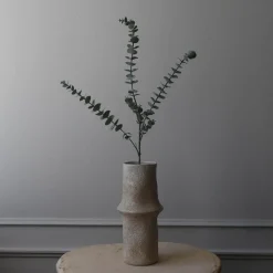 Botané Studios Eucalyptus Five Leave Green