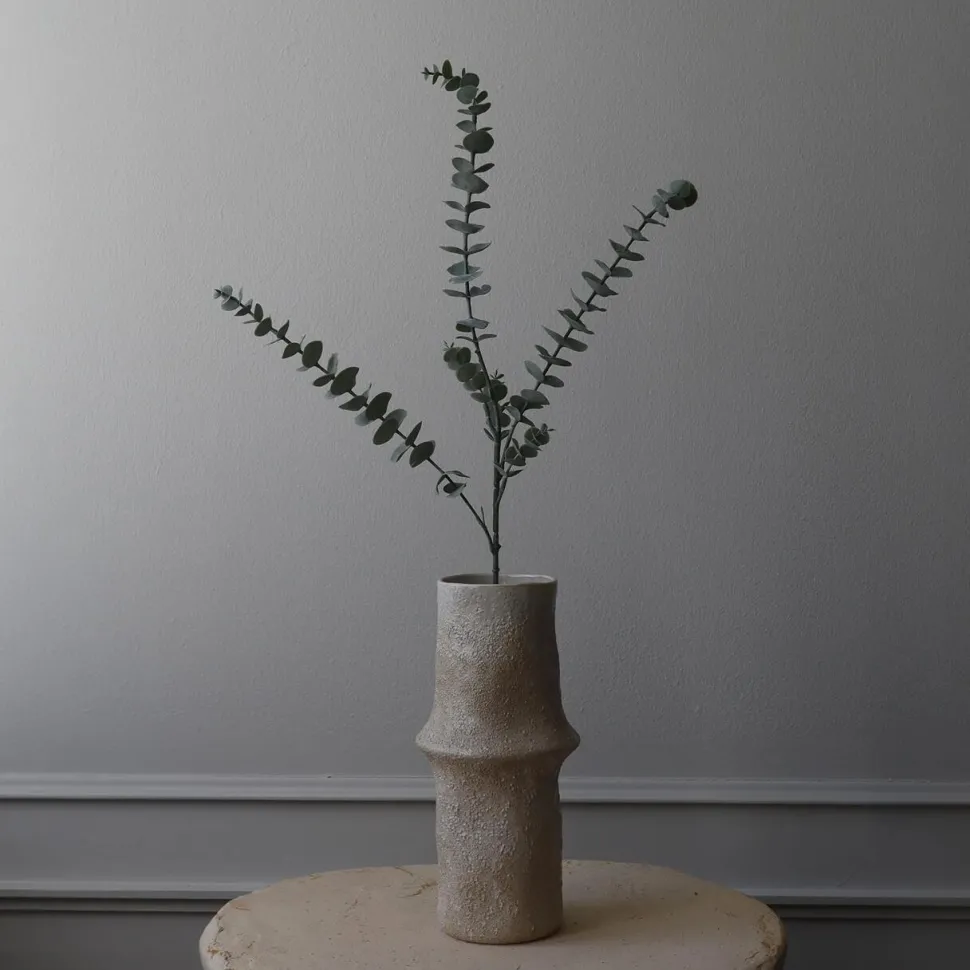 Botané Studios Eucalyptus Five Leave Green