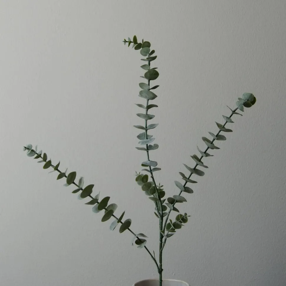 Botané Studios Eucalyptus Five Leave Green