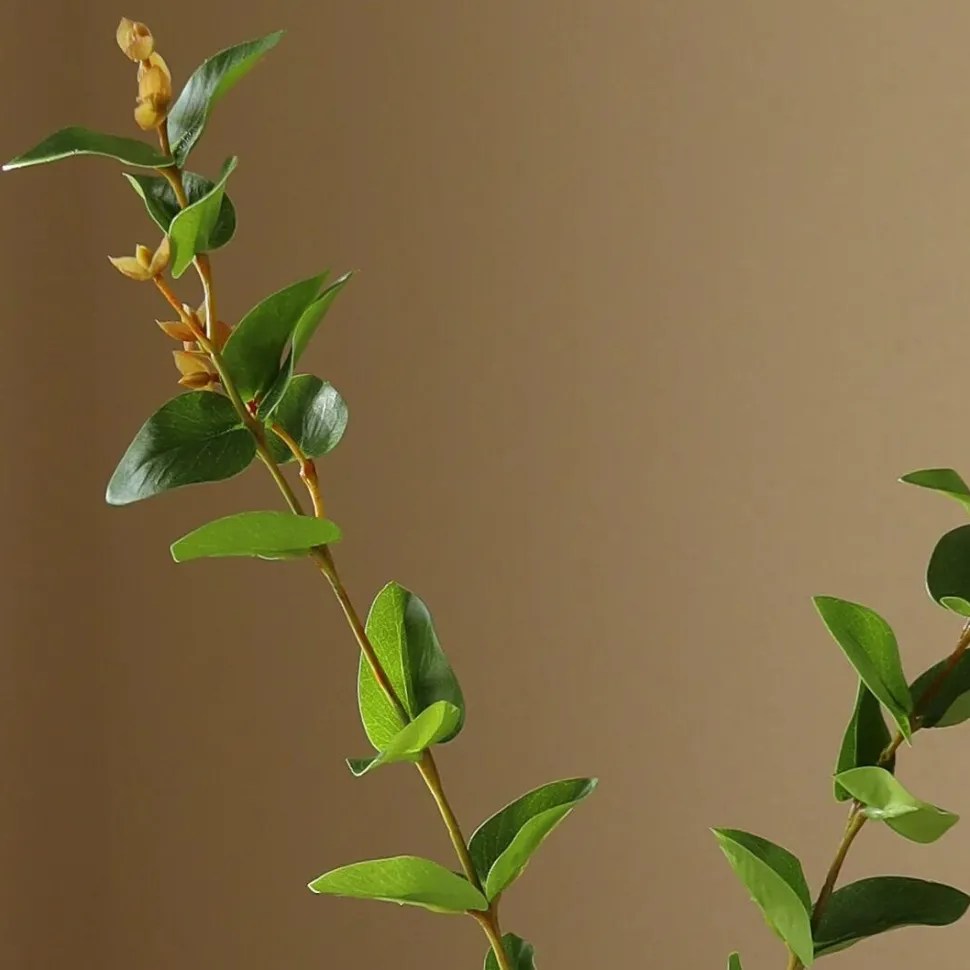 Botané Studios Eucalyptus Leave Green