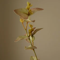 Botané Studios Eucalyptus Leave White