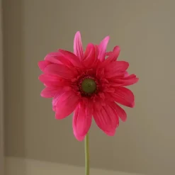 Botané Studios Gerbera Daisy Flower Pink