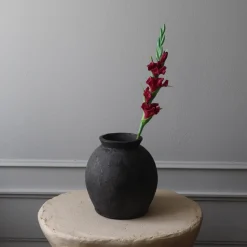 Botané Studios Gladiolus Flower Red