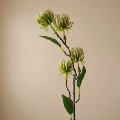 Botané Studios Hamamelis Branch Green