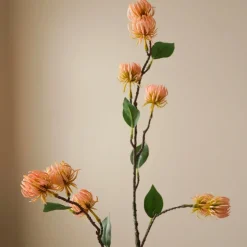 Botané Studios Hamamelis Branch Pink