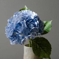 Botané Studios Hydrangea Flower Blue