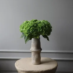 Botané Studios Hydrangea Flower Green