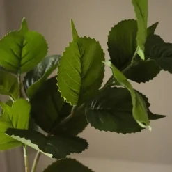 Botané Studios Hydrangea Leaves Green