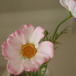 Botané Studios Large Cosmo Daisy Flower Light Pink