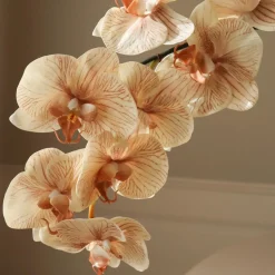 Botané Studios Large Orchid Flower Beige