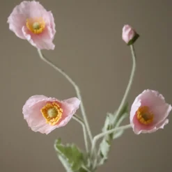 Botané Studios Poppy Flower Light Pink