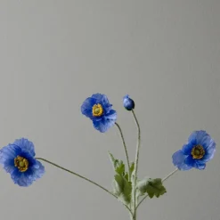 Botané Studios Poppy Flower Blue