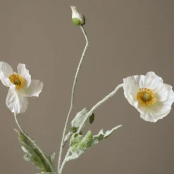 Botané Studios Poppy Flower White