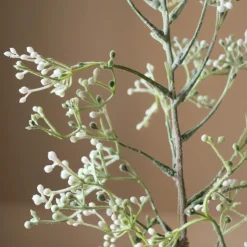 Botané Studios Rosehip Corallo Branch White