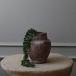 Botané Studios Ruby Necklace Succulent Stem Green