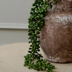 Botané Studios Ruby Necklace Succulent Stem Green