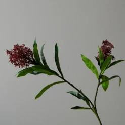 Botané Studios Skimmia Berry Branch Purple