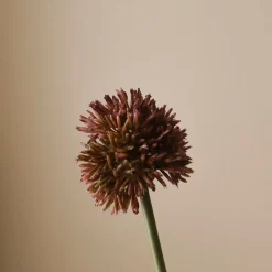 Botané Studios Small Allium Flower Purple