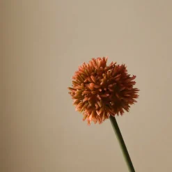 Botané Studios Small Allium Flower Orange