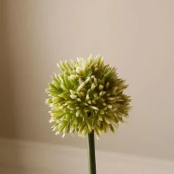 Botané Studios Small Allium Flower Green