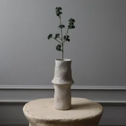 Botané Studios Succulent Stem Green