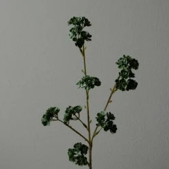 Botané Studios Succulent Stem Green