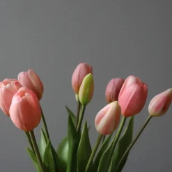 Botané Studios Tulip Bundle Light Pink (5 pieces)