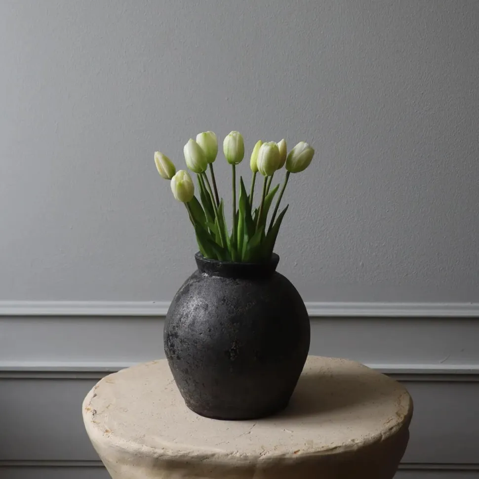 Botané Studios Tulip Bundle White (5 pieces)