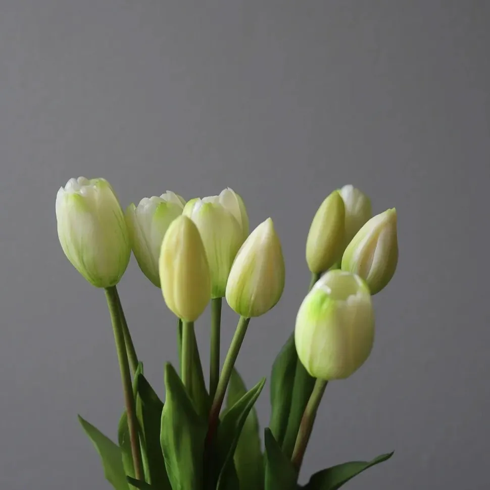 Botané Studios Tulip Bundle White (5 pieces)