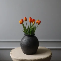 Botané Studios Tulip Bundle Orange (5 pieces)