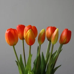 Botané Studios Tulip Bundle Orange (5 pieces)