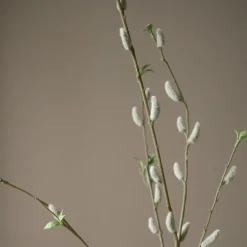 Botané Studios Willow Bud Branch Brown