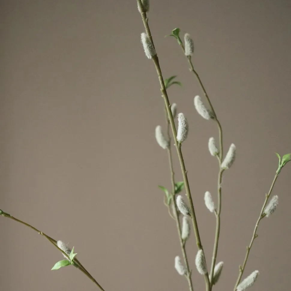 Botané Studios Willow Bud Branch Brown