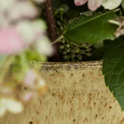 House Doctor Corp Vase Beige