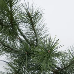 House Doctor Giant Wreath With LED Nature Small