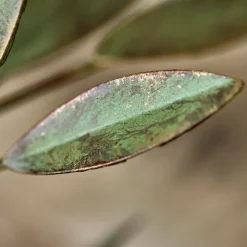 House Doctor Leaves Candle Stand Antique Green