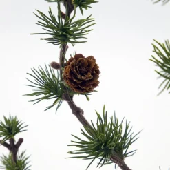 House Doctor Stay Christmas Tree Green Small