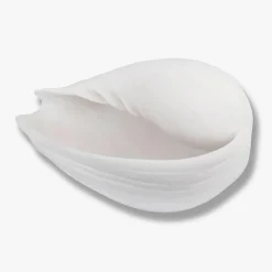 Mette Ditmer Conch Shell Large Off-White