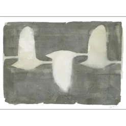 Poster & Frame Swans 30x40 cm